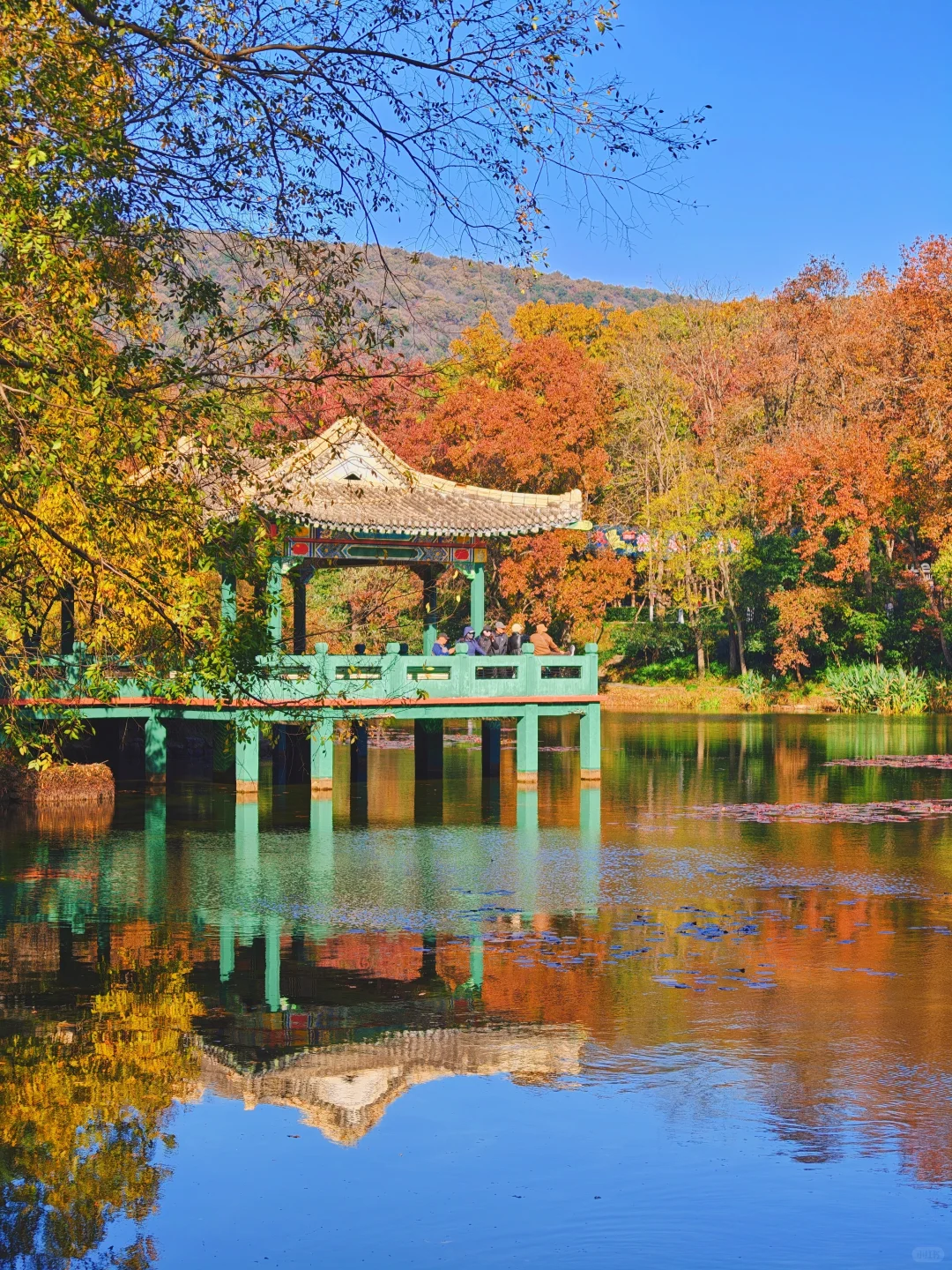 南京流徽榭秋景攻略｜正午1点拍绝湖水倒影