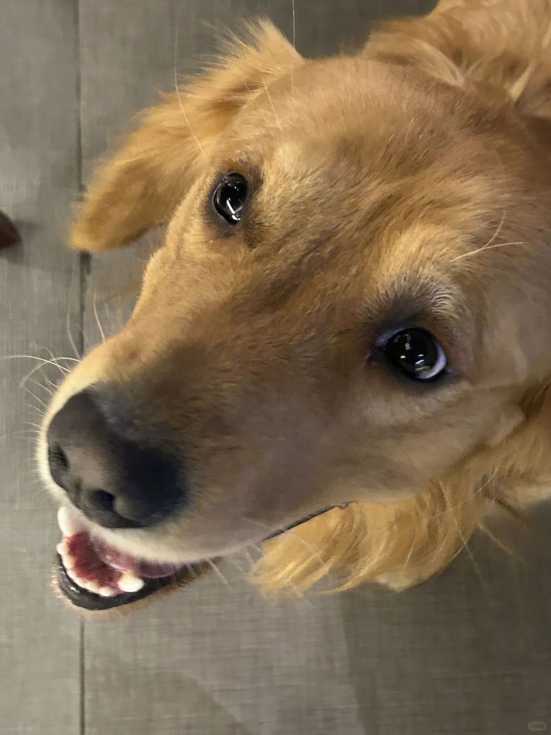 南京酒鬼巡游记又又又来啦！私藏酒馆分享