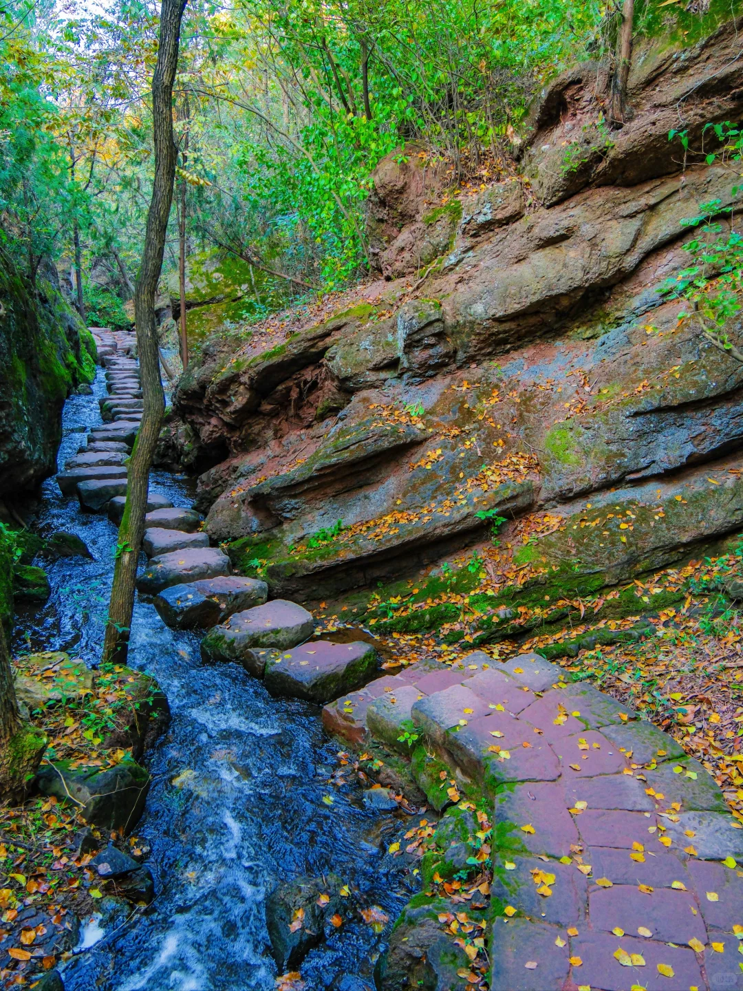 以为苏州已经够美了，直到我去了徐州😭..