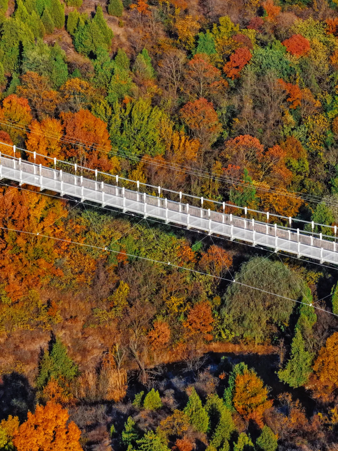 徐州人嘴真严啊！藏着这么美的地方不说！