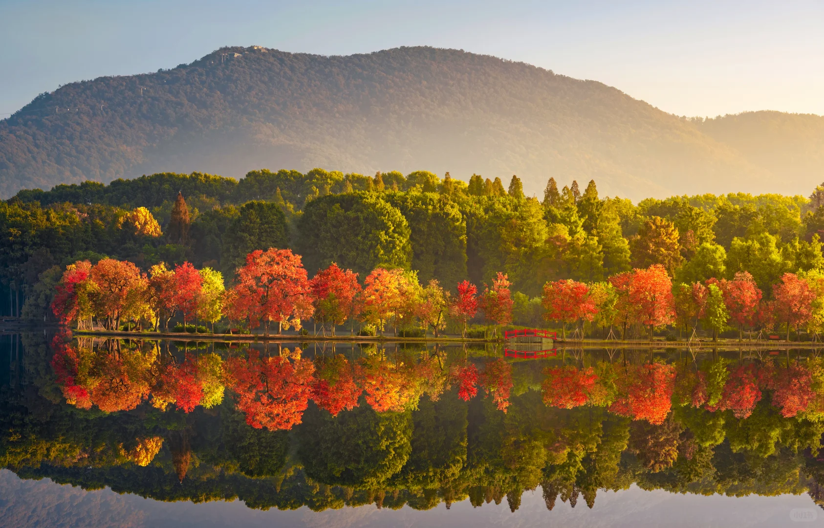 南京的秋天从前湖开始，