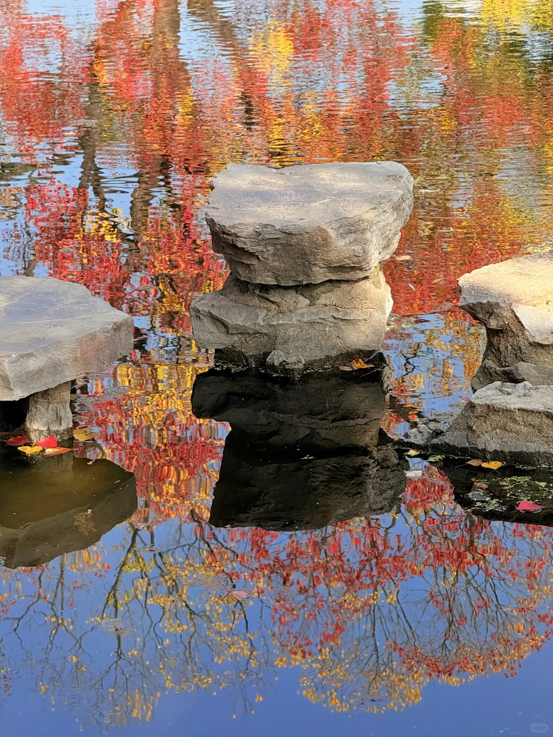 11.10实况｜南京12时特种兵一日游赏秋路线❗️