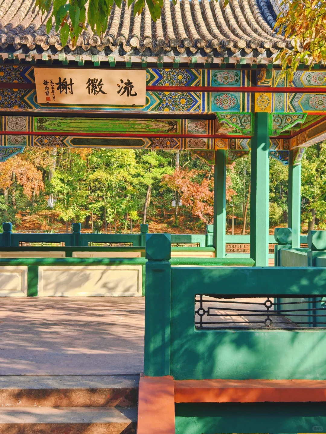 南京流徽榭秋景攻略｜正午1点拍绝湖水倒影