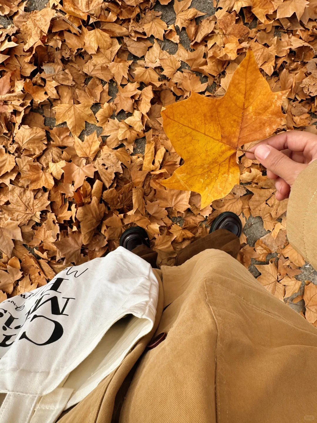 为了这片顶级秋色…在徐州暴走了两小时‼️