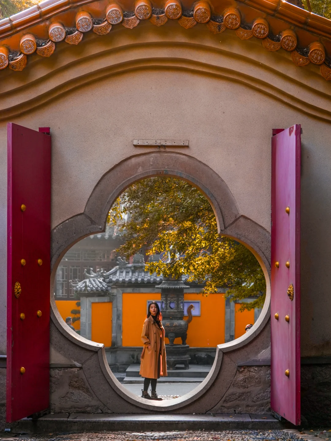 南京｜实拍高座寺银杏树开始进入观赏期