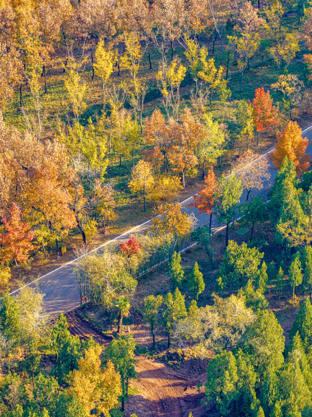 迄今为止❗️我最喜欢的旅游城市出现了….