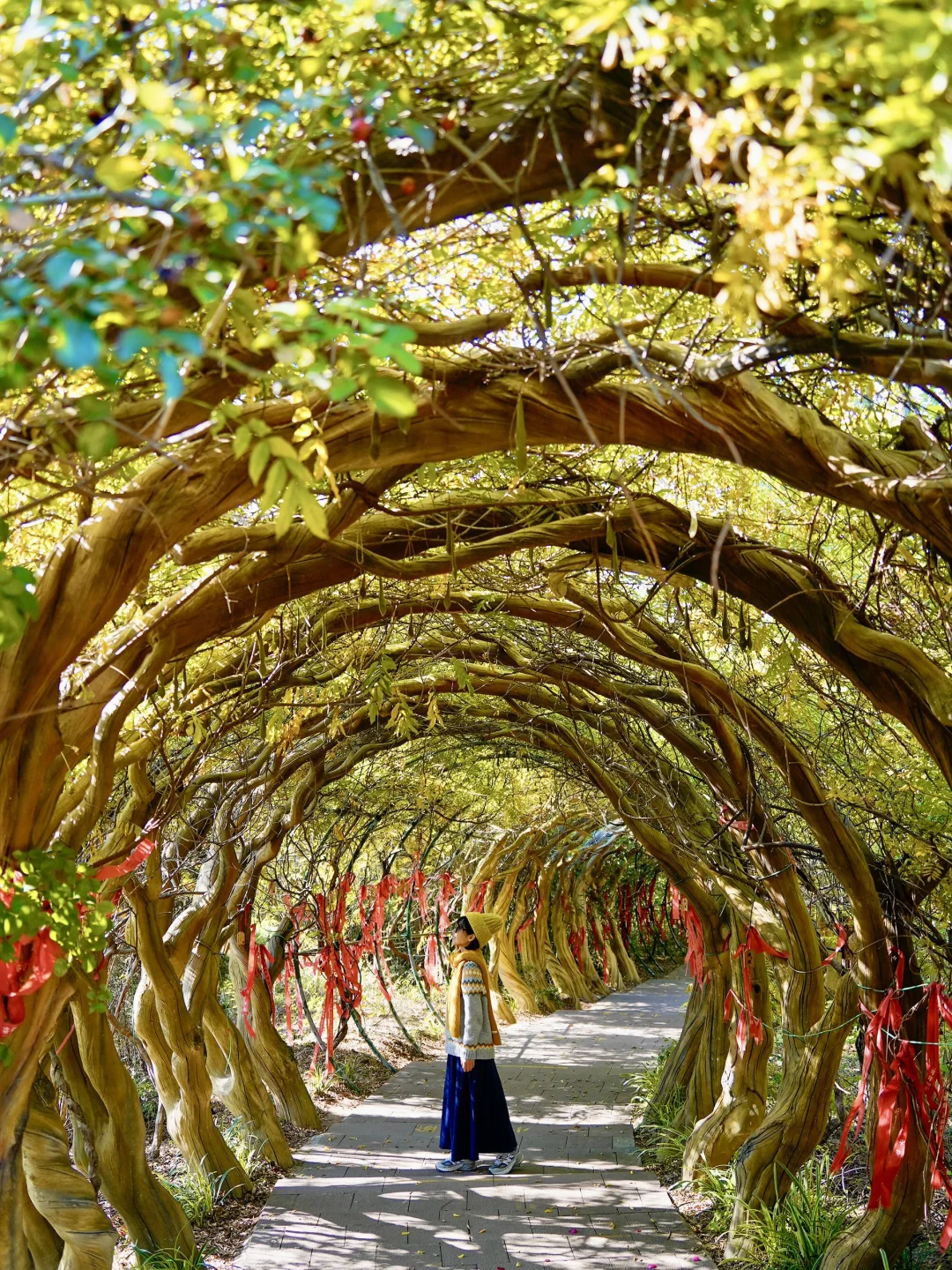 人生建议: 抵达徐州第一站从这开始Citywalk