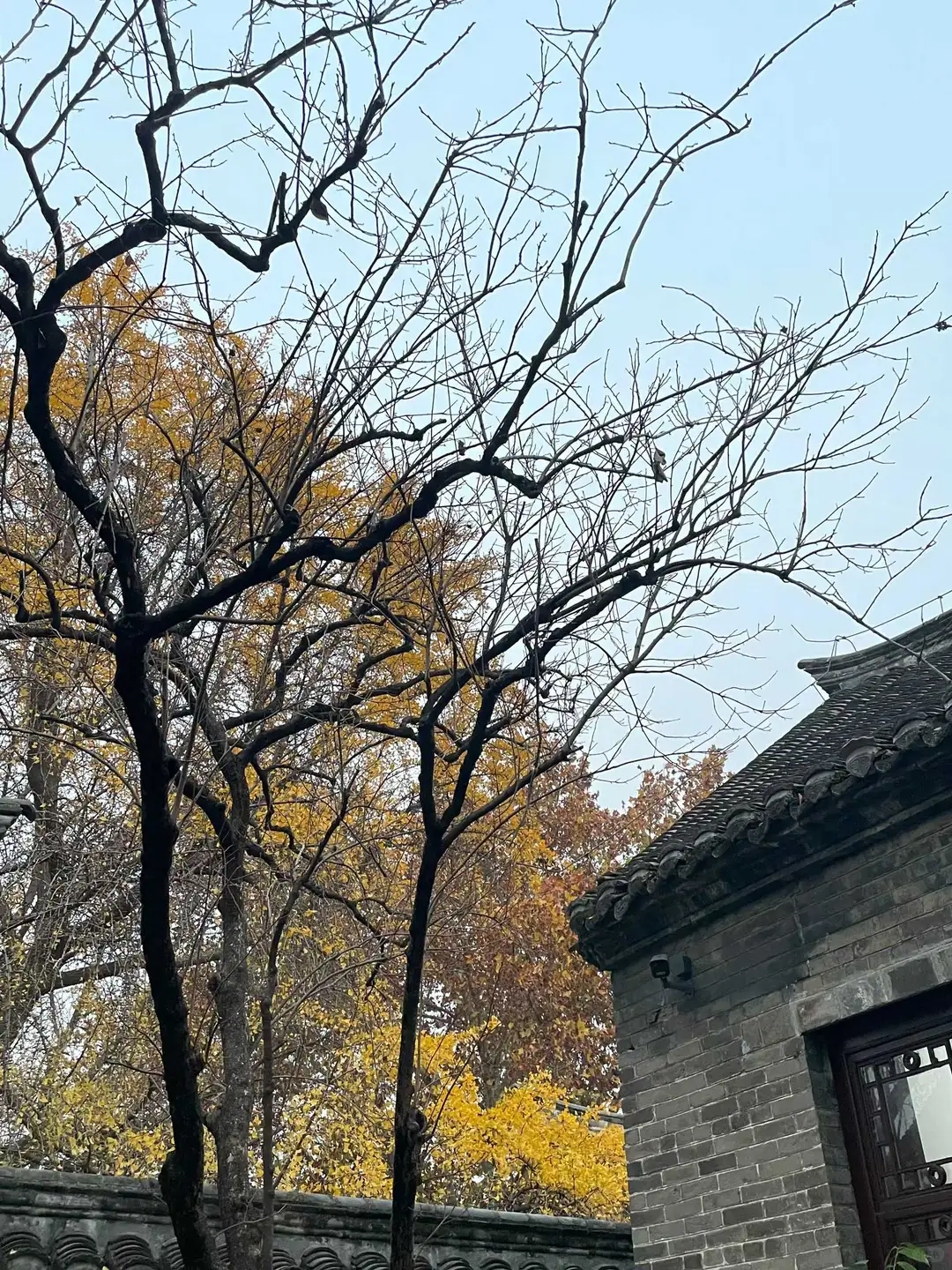 徐州应该要在江苏的秋有一席之地