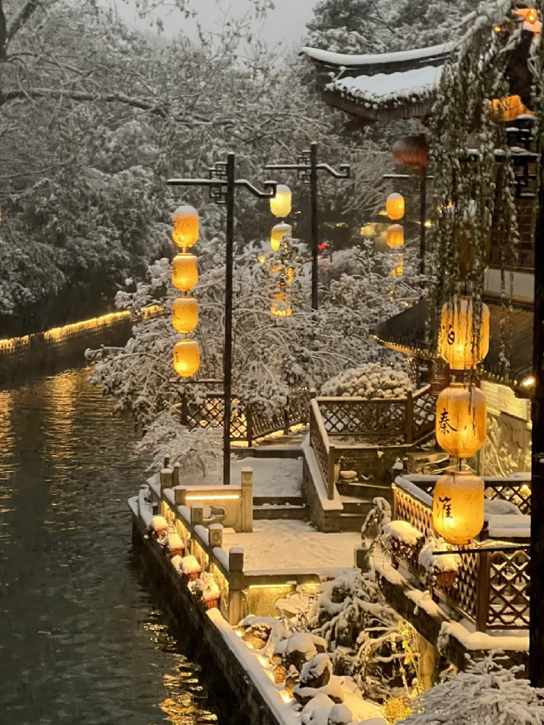 来南京住我家吧！99俩人😭（11.19开始空