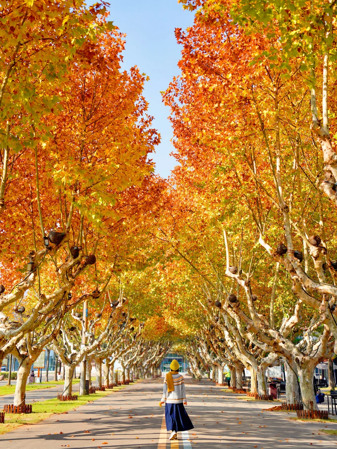 人生建议: 抵达徐州第一站从这开始Citywalk