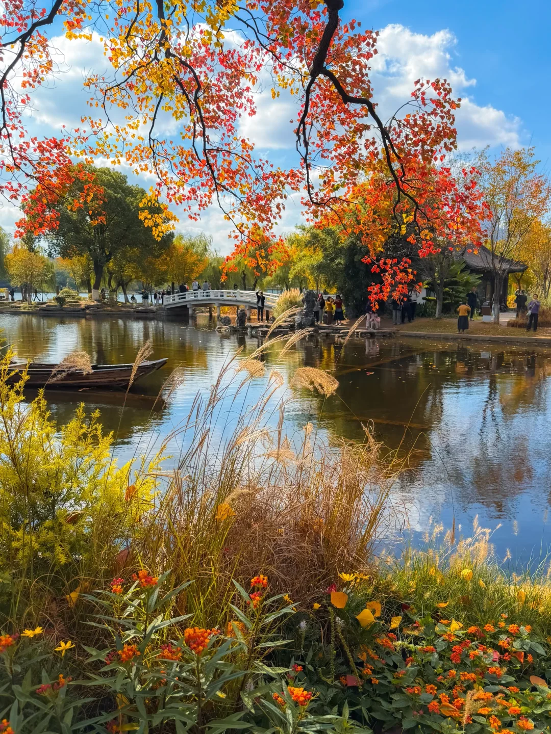 南京｜莫愁湖的乌桕🎨