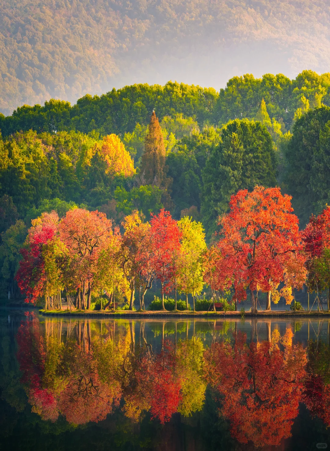 南京的秋天从前湖开始，