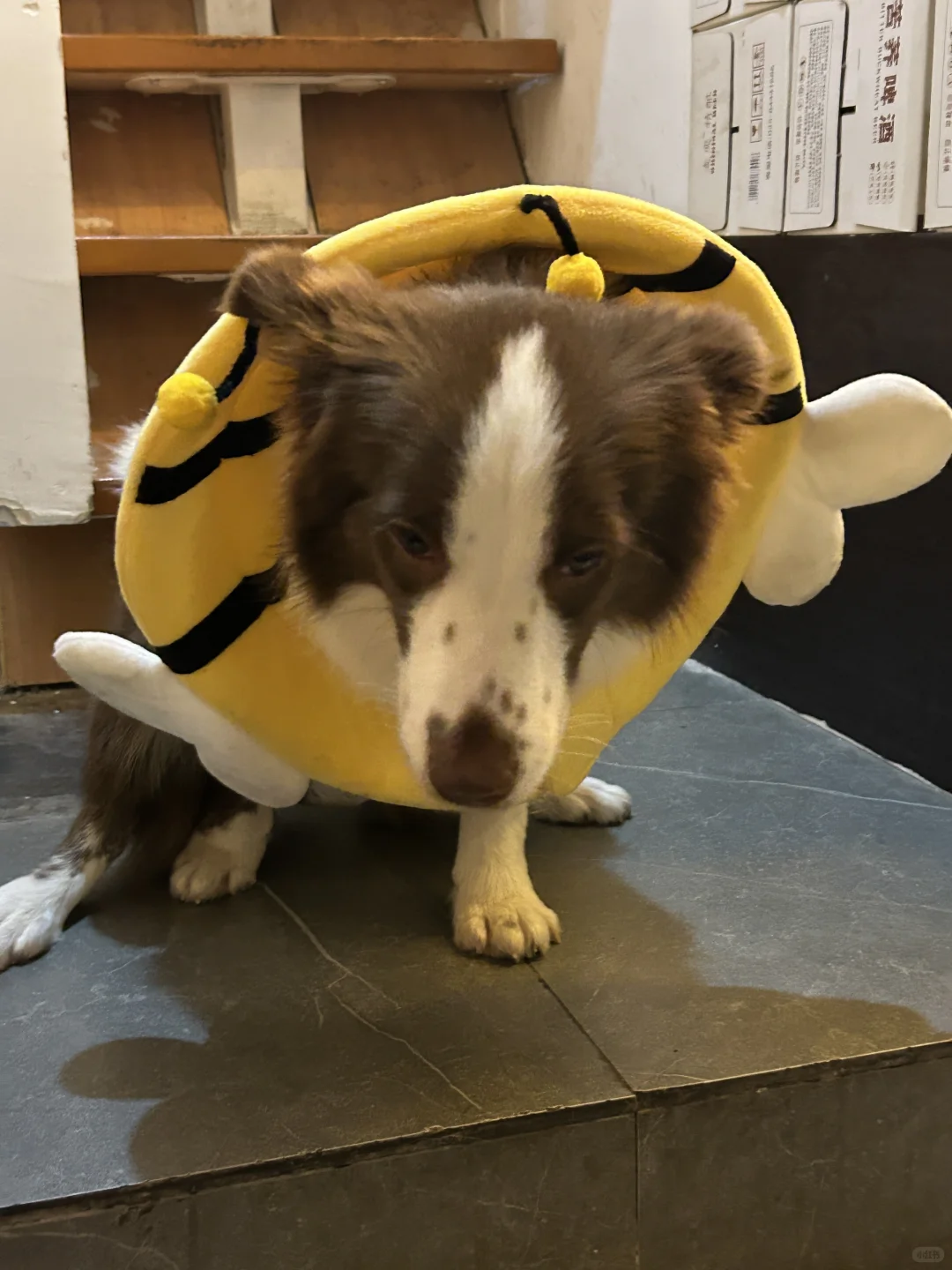 南京酒鬼巡游记又又又来啦！私藏酒馆分享