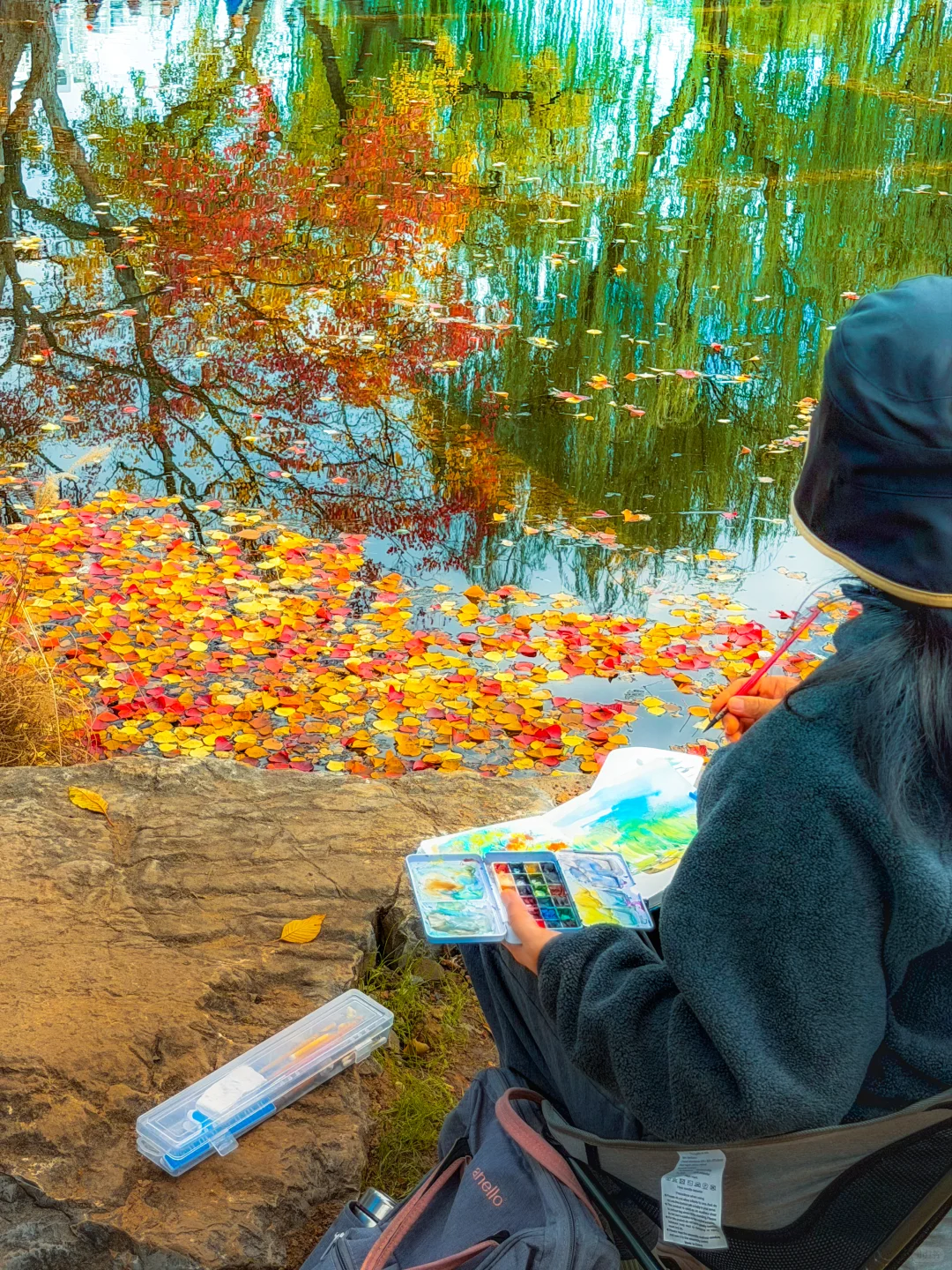 南京｜莫愁湖的乌桕🎨