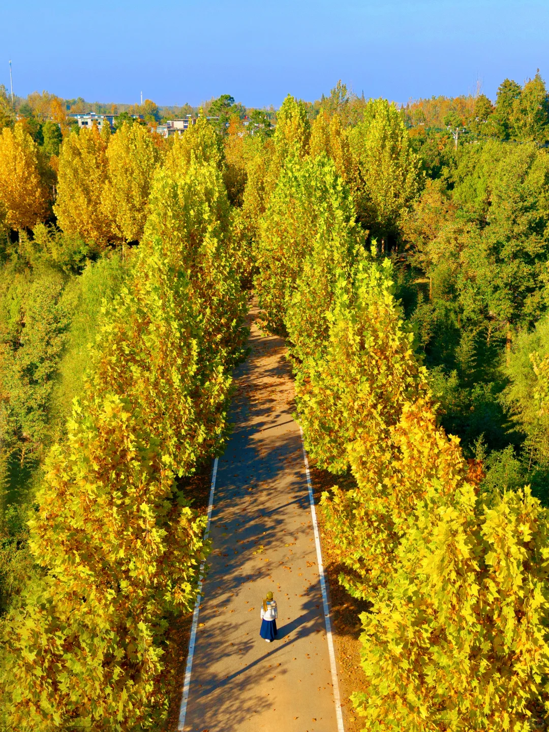 人生建议: 抵达徐州第一站从这开始Citywalk