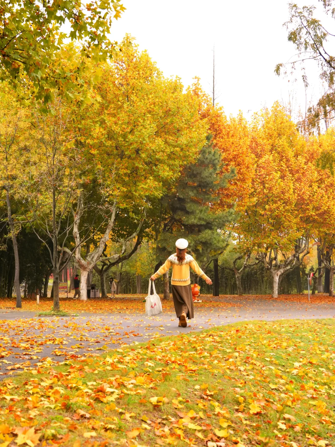 迄今为止🍁江浙沪最喜欢的秋游小城出现了‼️
