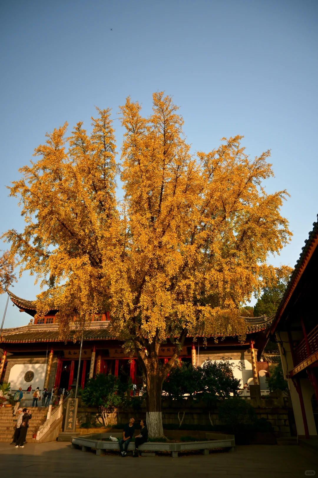 南京/金陵，一个人的旅游