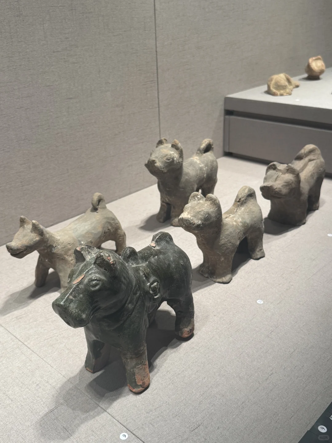 谁来懂一下徐州博物馆的幽默😂