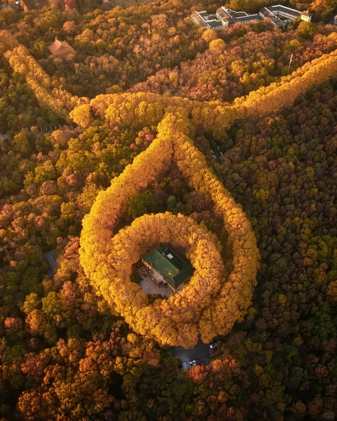 南京｜紫金山下秋风至