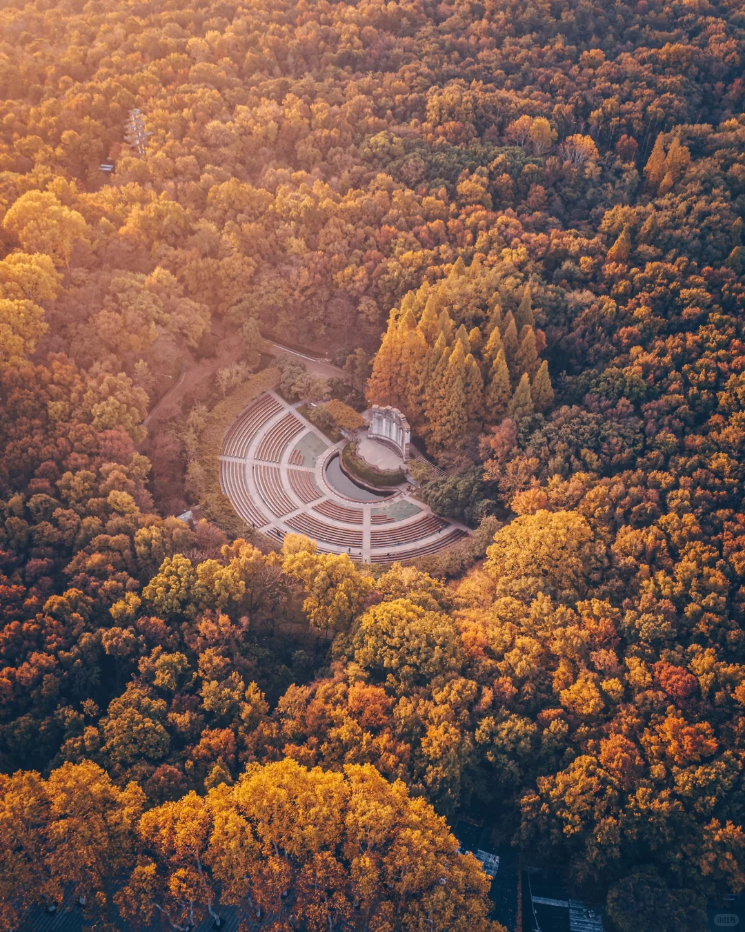 南京｜紫金山下秋风至