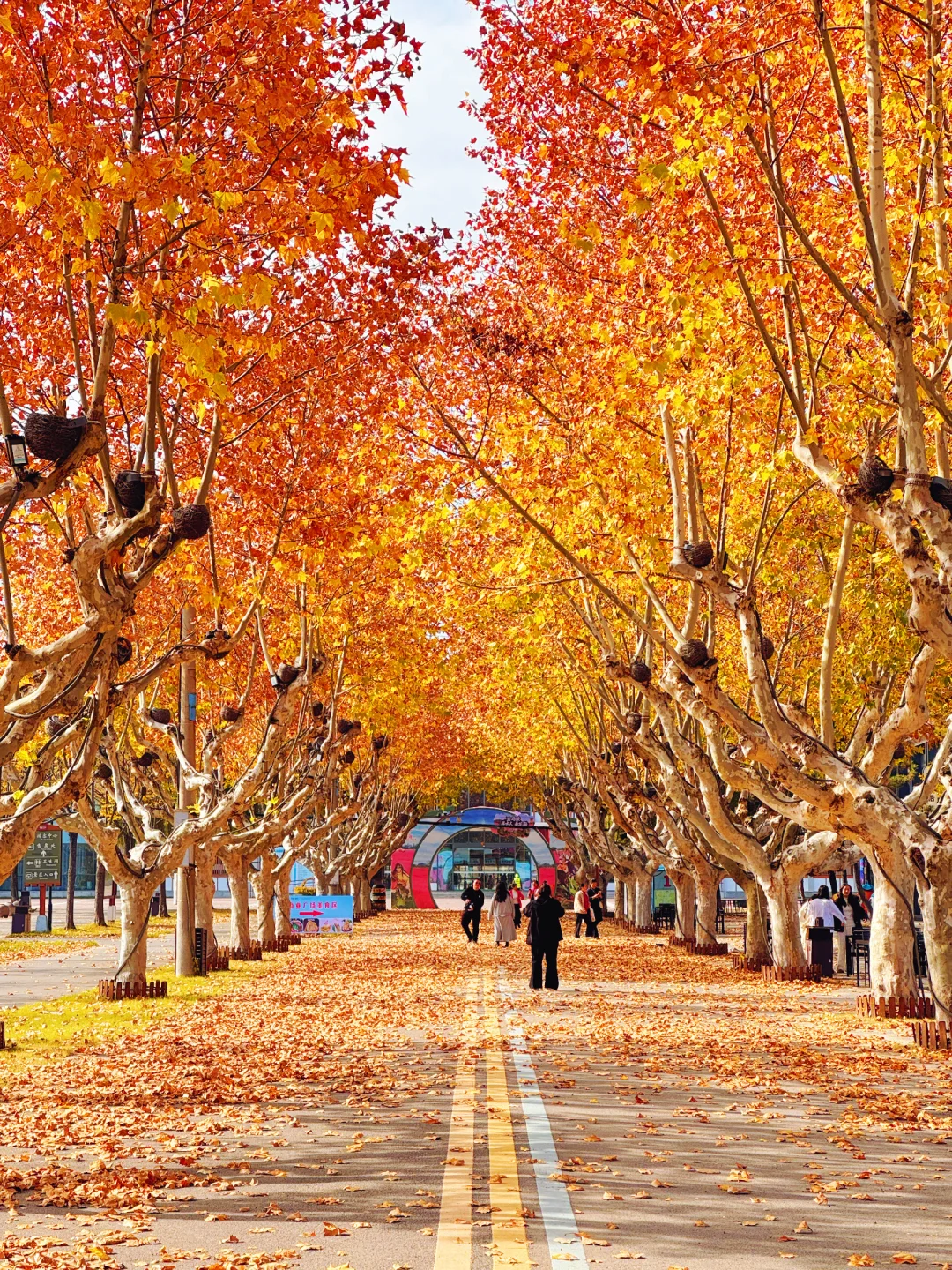 徐州人嘴真严啊！藏着这么美的地方不说！