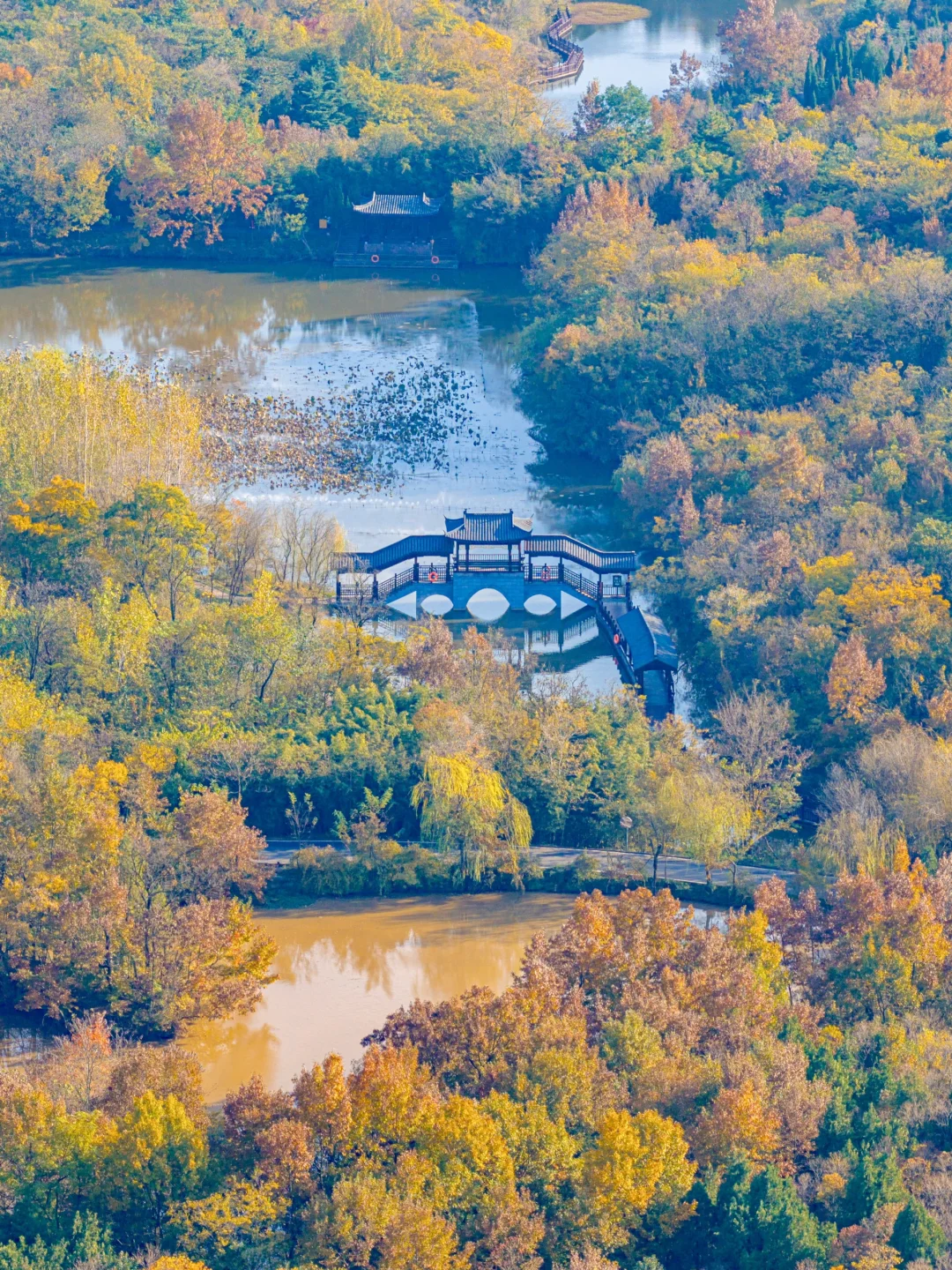 迄今为止❗️我最喜欢的旅游城市出现了….
