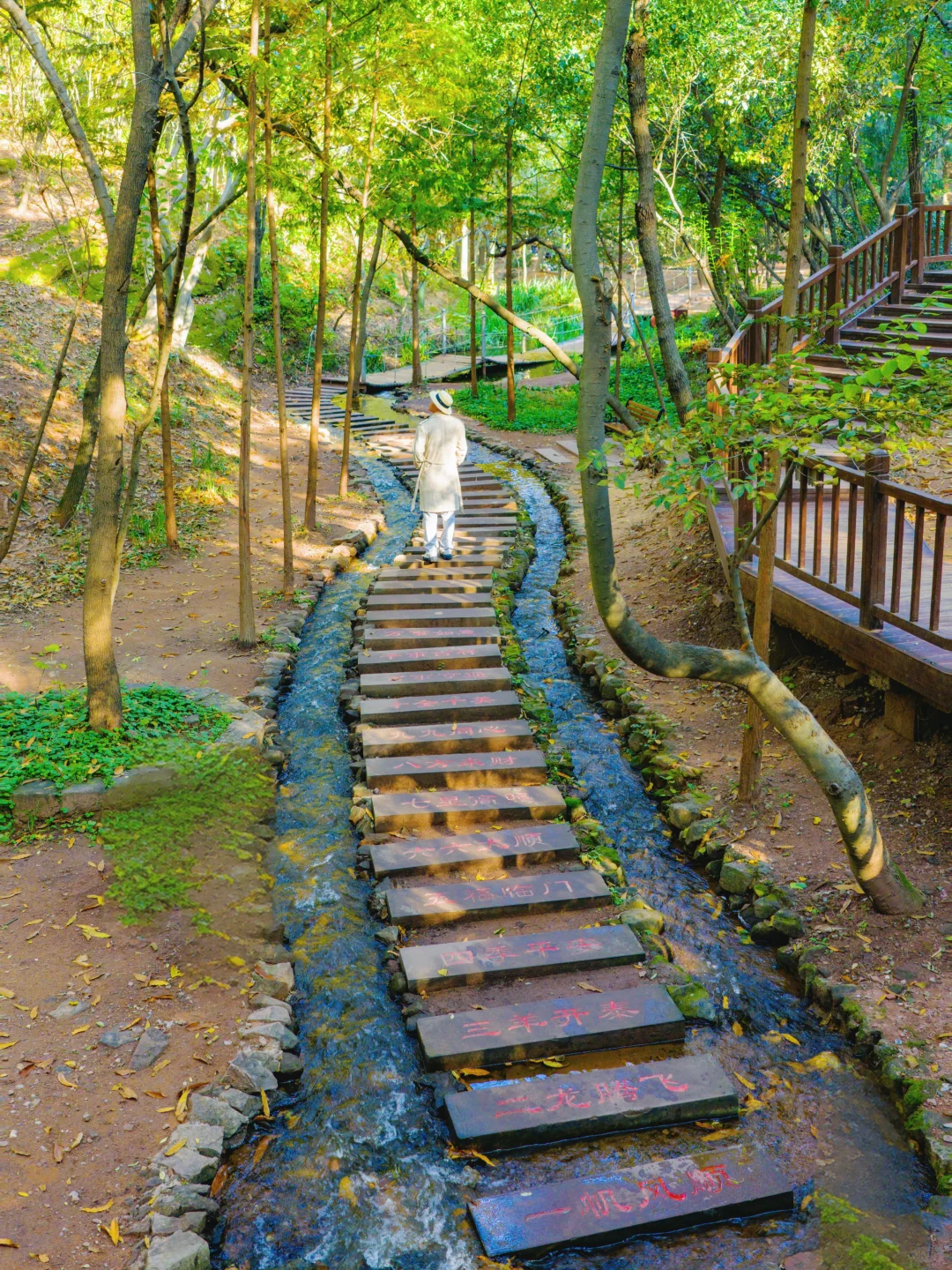 以为苏州已经够美了，直到我去了徐州😭..