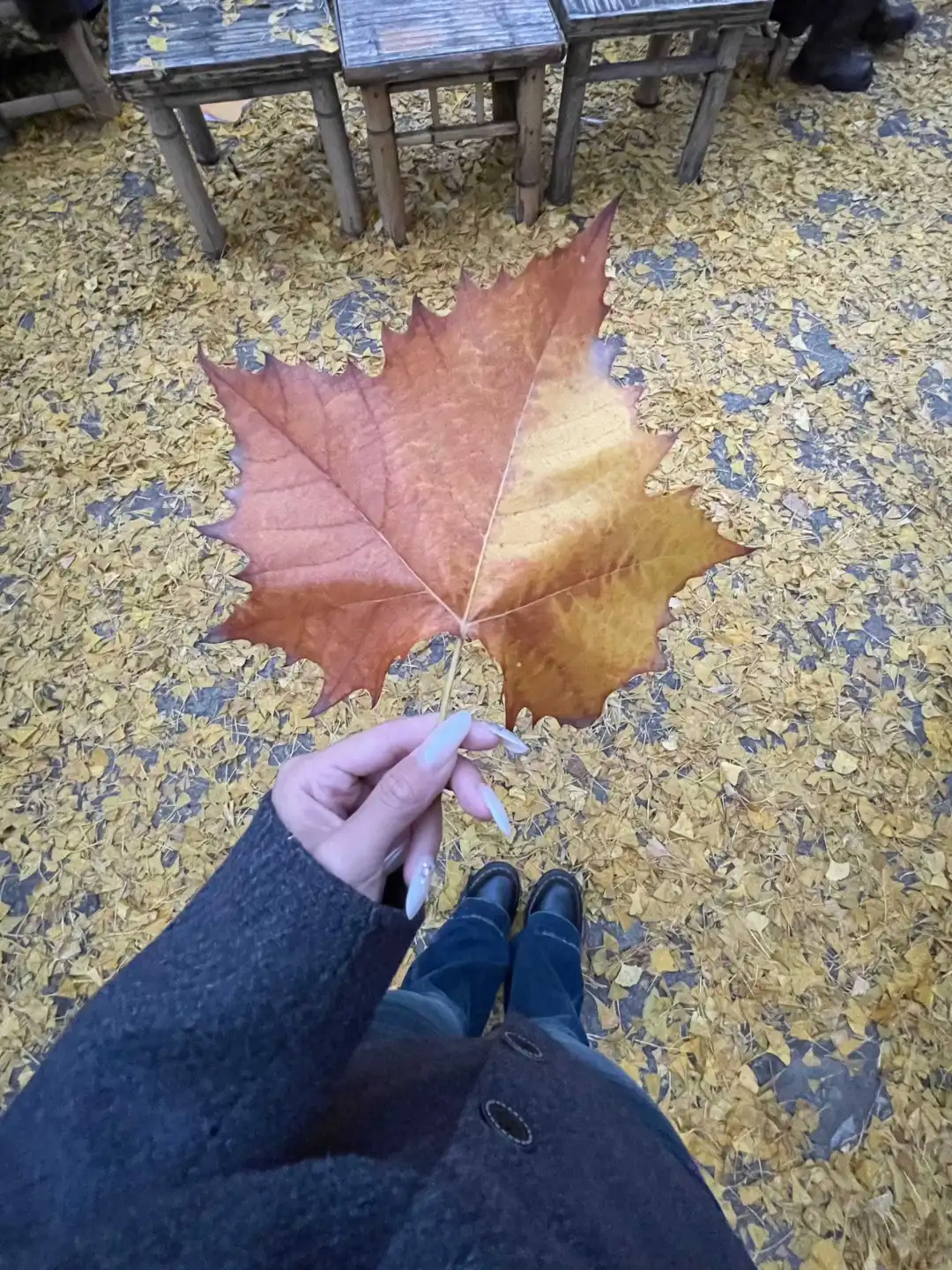 徐州应该要在江苏的秋有一席之地