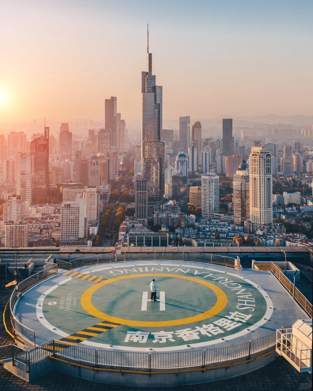 南京｜紫金山下秋风至