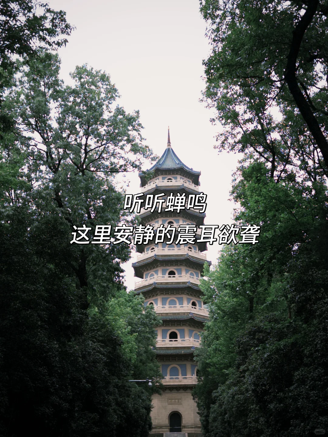 因思念难静〰️便来趟南京！🍃