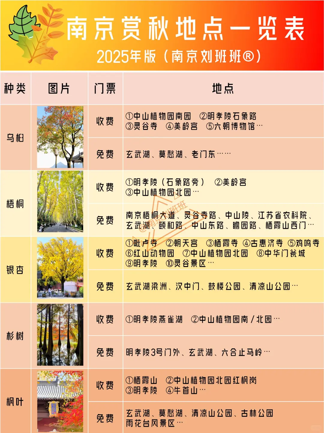 📸南京赏秋进度播报！11.10-11.16推荐