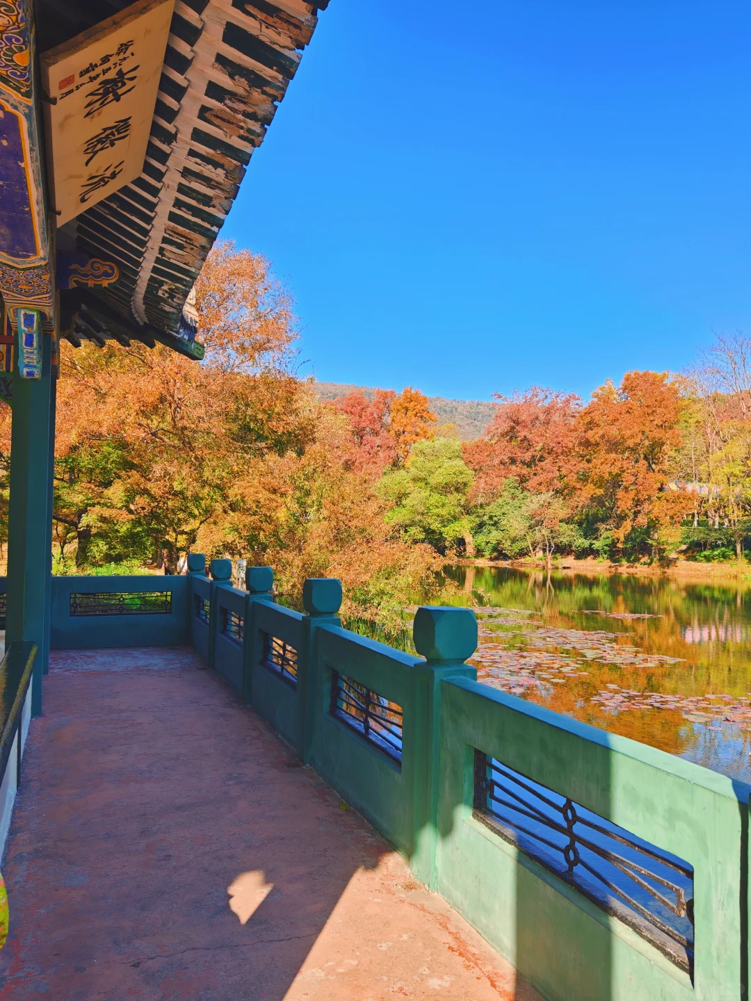 南京流徽榭秋景攻略｜正午1点拍绝湖水倒影