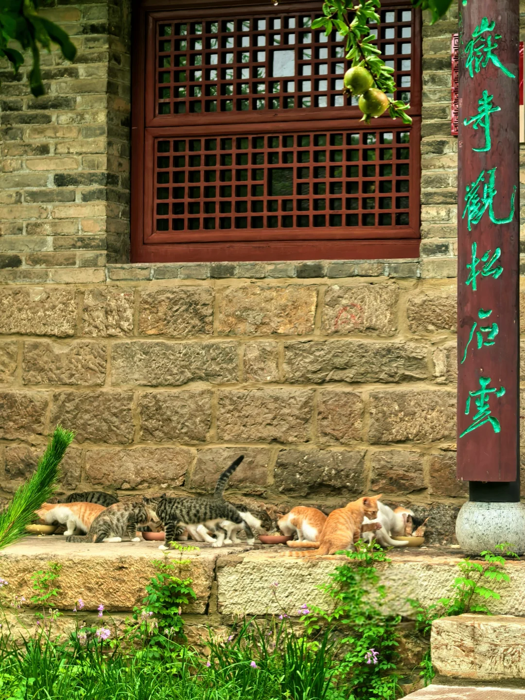 你要写徐州，就不能只写徐州