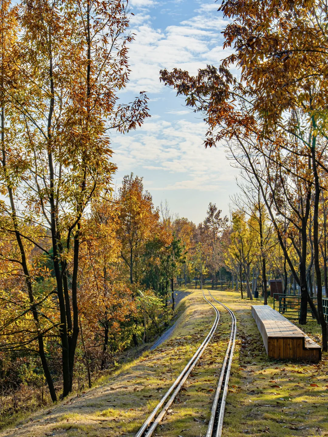 迄今为止❗️我最喜欢的旅游城市出现了….