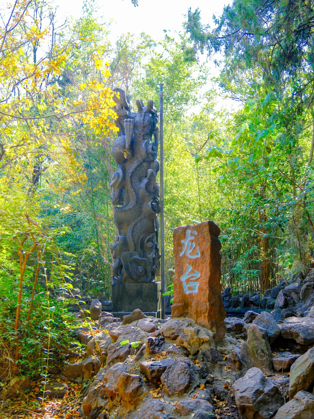 以为苏州已经够美了，直到我去了徐州😭..