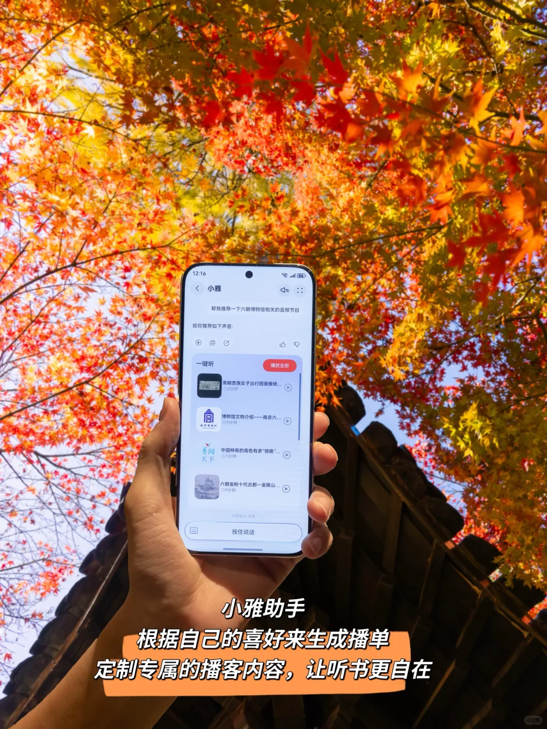 我宣布！没有一个城市比南京更懂得秋天❗️