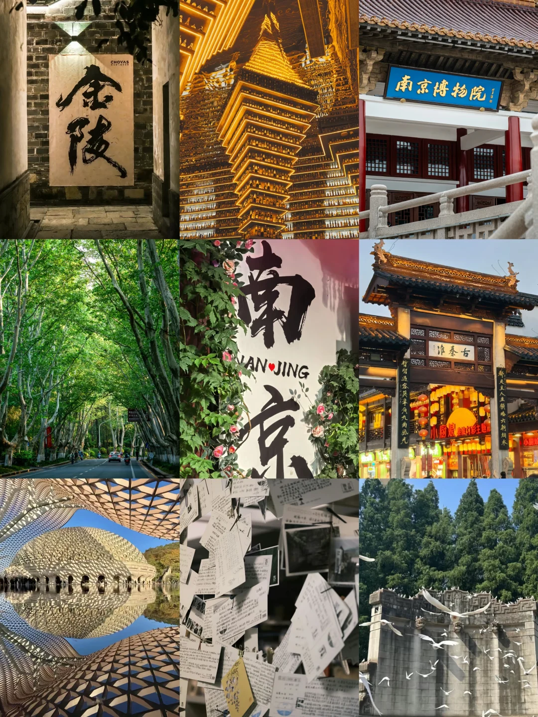 咔嚓咔嚓，我爱南京！📷