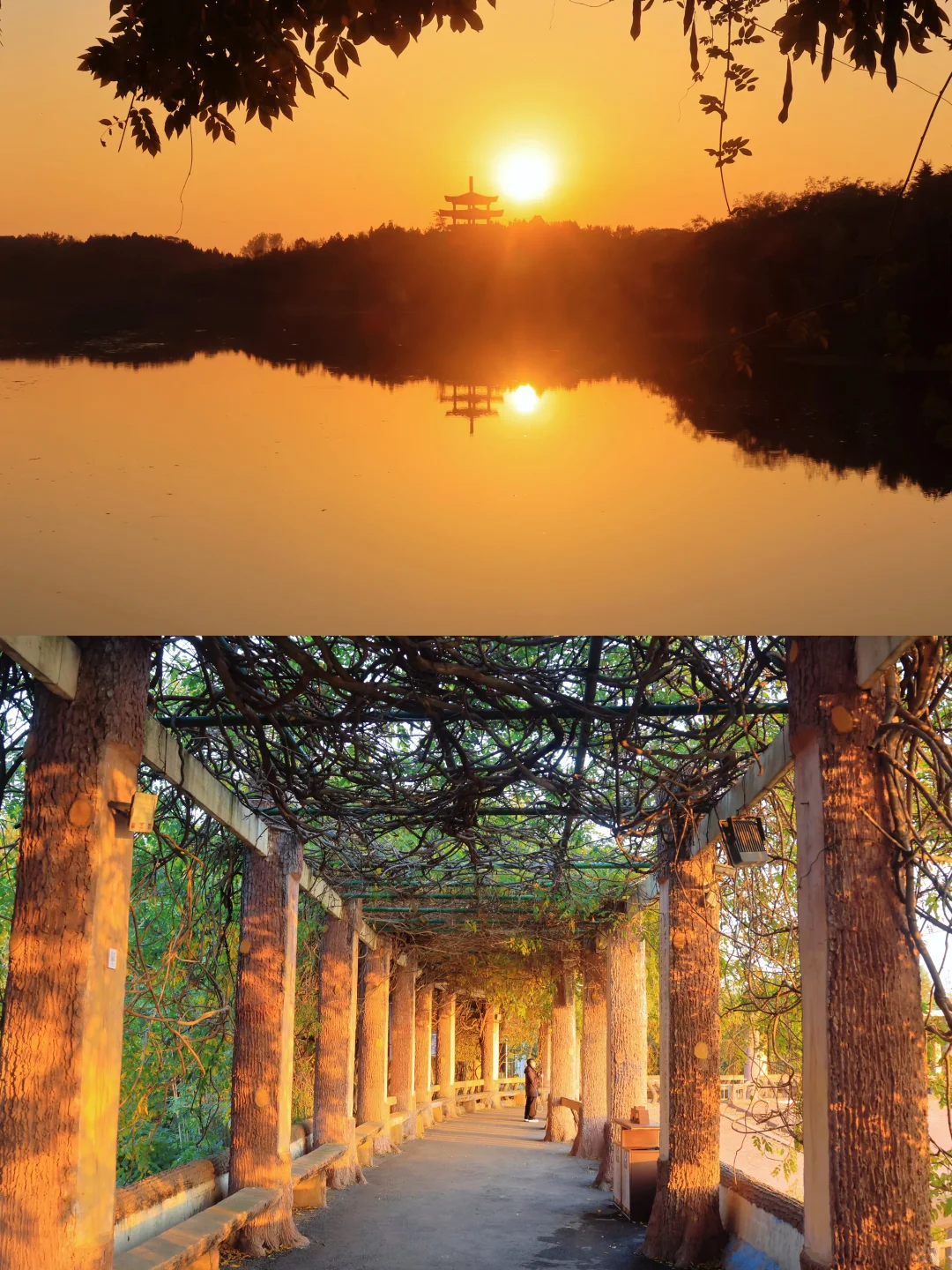 徐州人嘴真严啊！藏着这么美的地方不说！