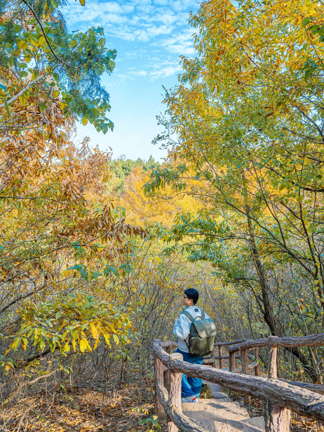 迄今为止❗️我最喜欢的旅游城市出现了….