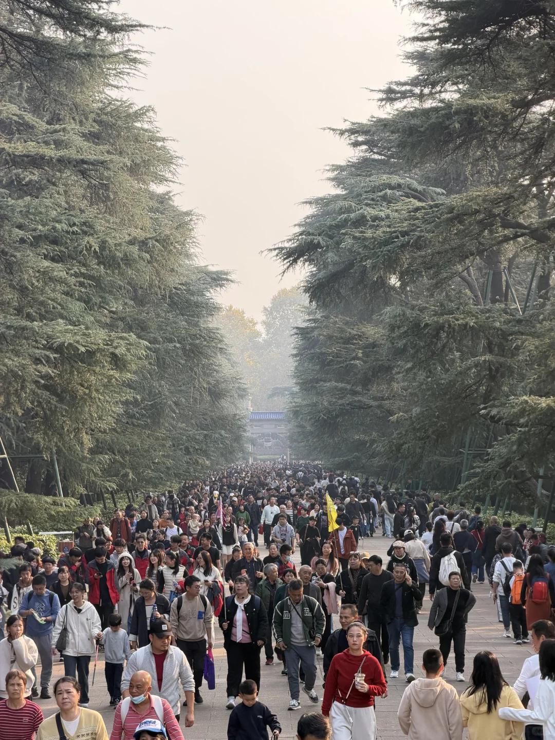 不开玩笑…11.14的南京被秋假大军攻陷了