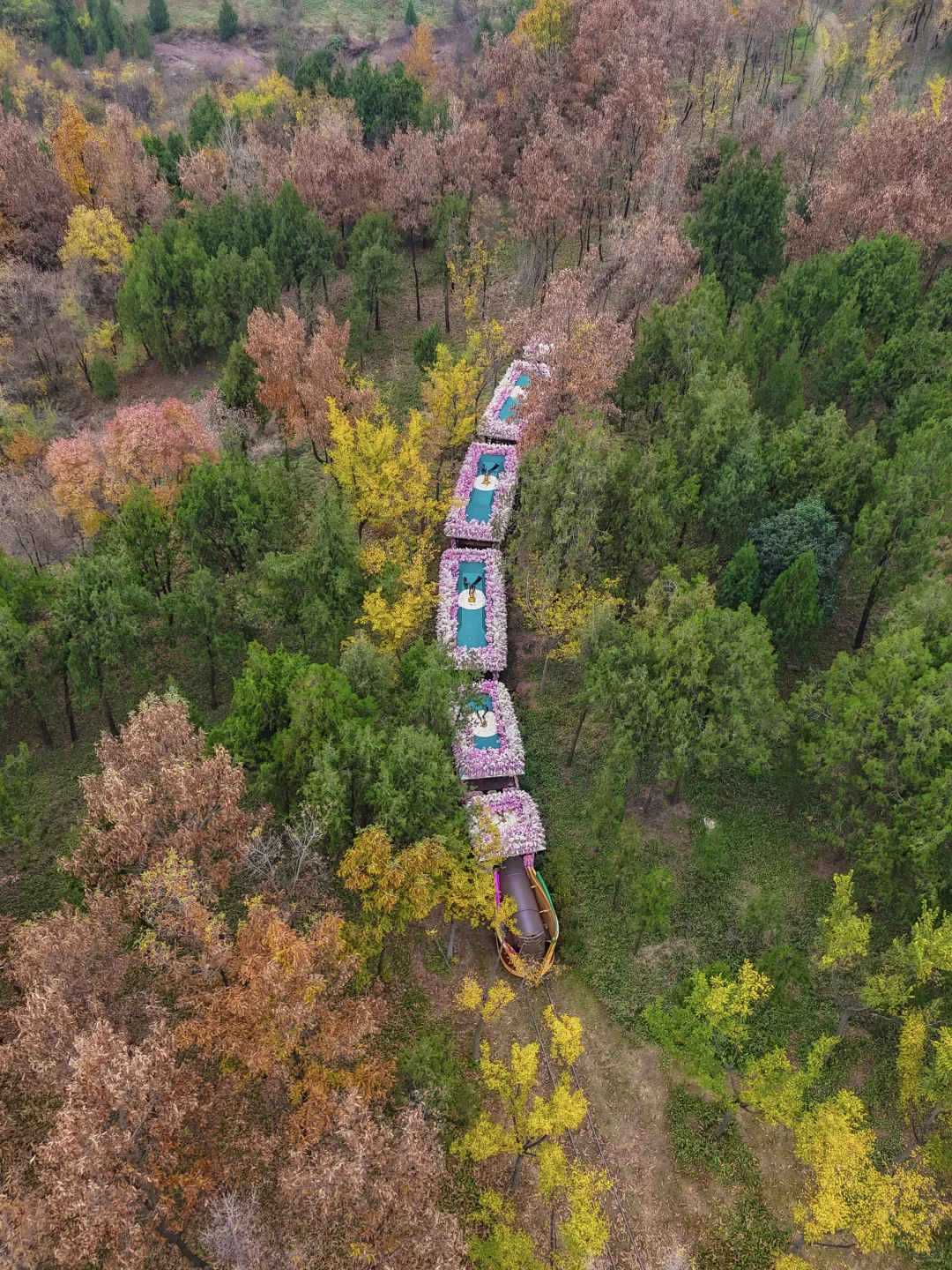 为了这片顶级秋色…在徐州暴走了两小时‼️