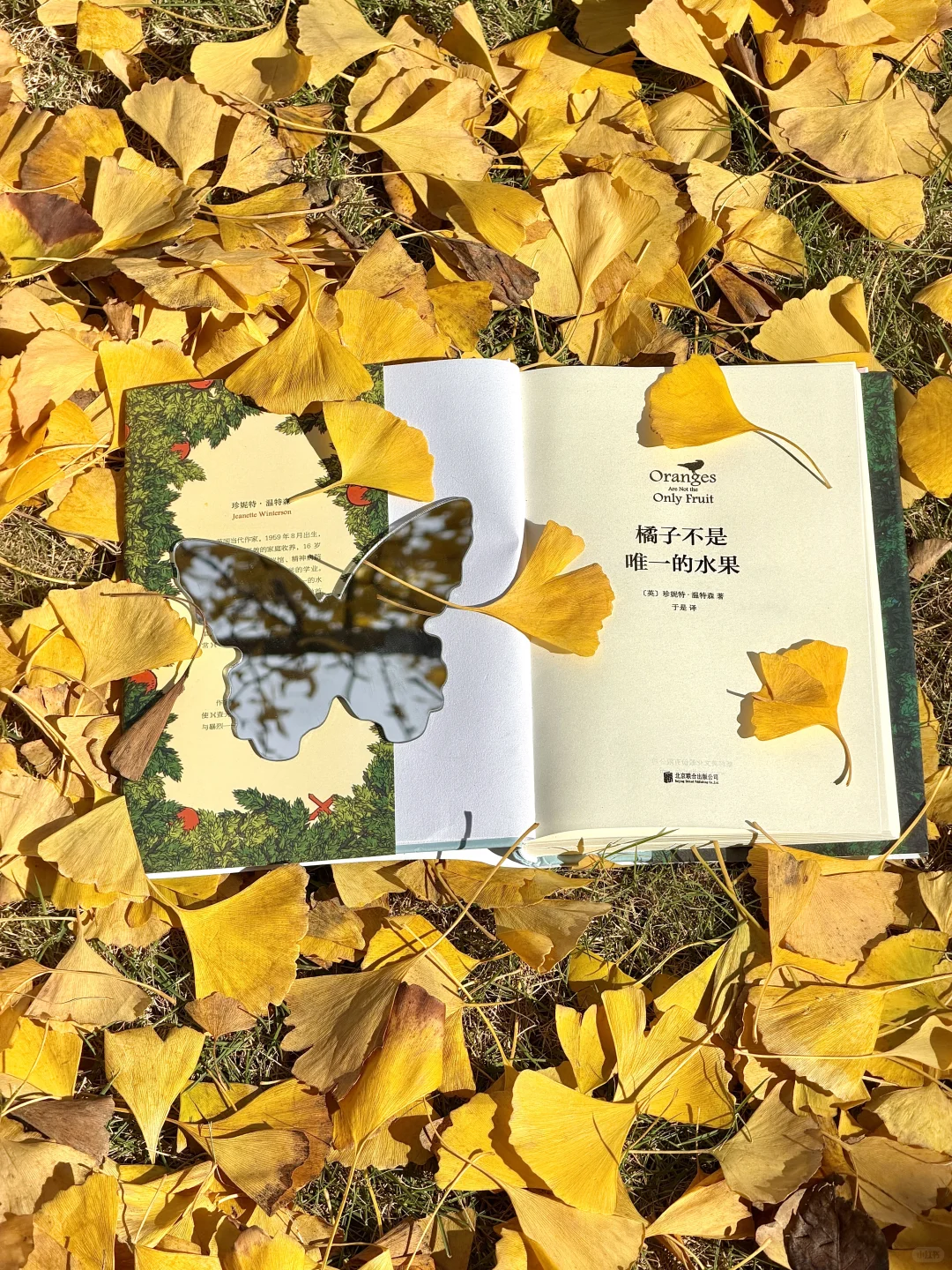 11.11实况！南京银杏大道杀疯了！！🈚️人！！！