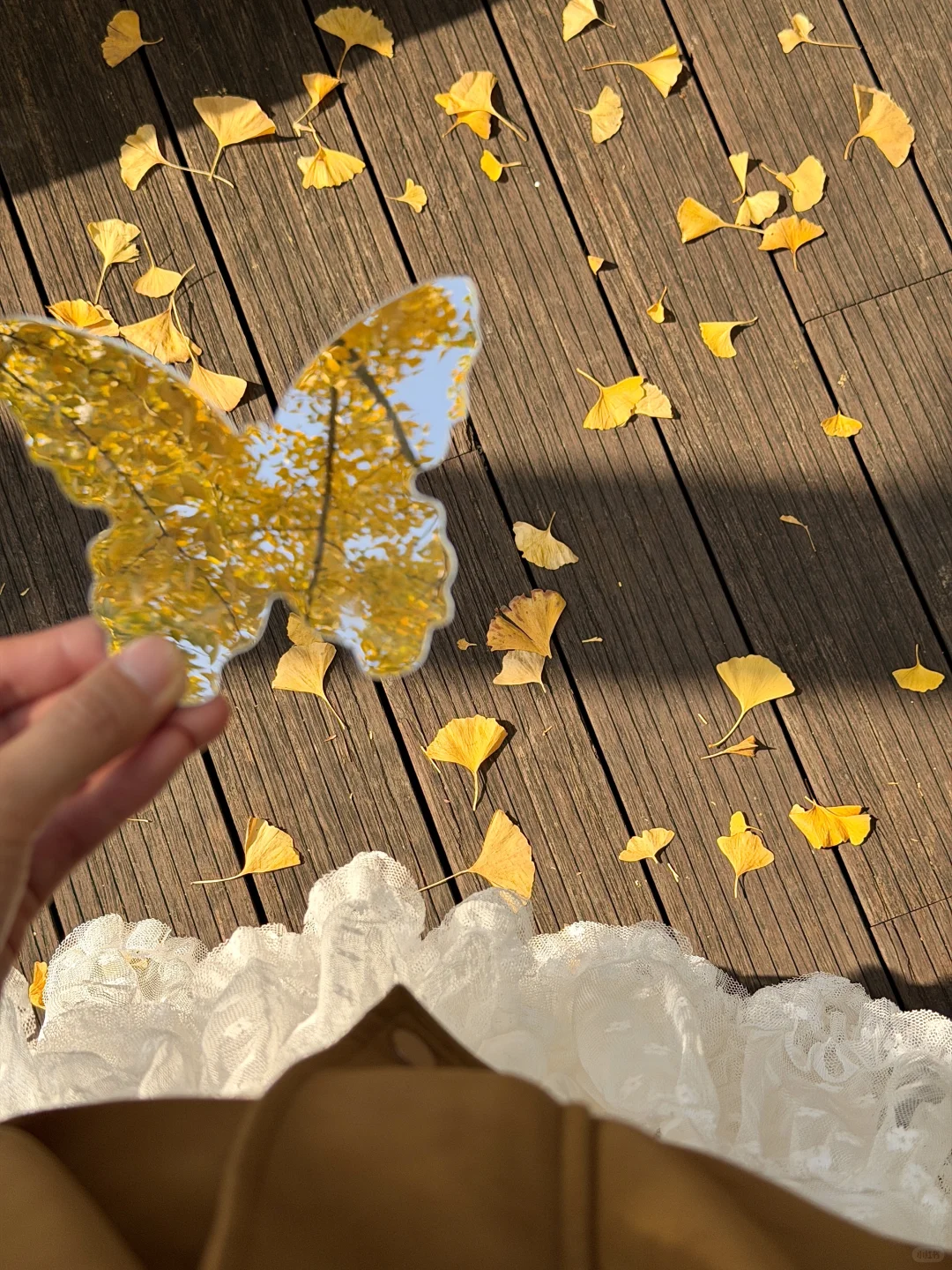 11.14实况！南京🈚️人银杏大道！！杀疯了。。。