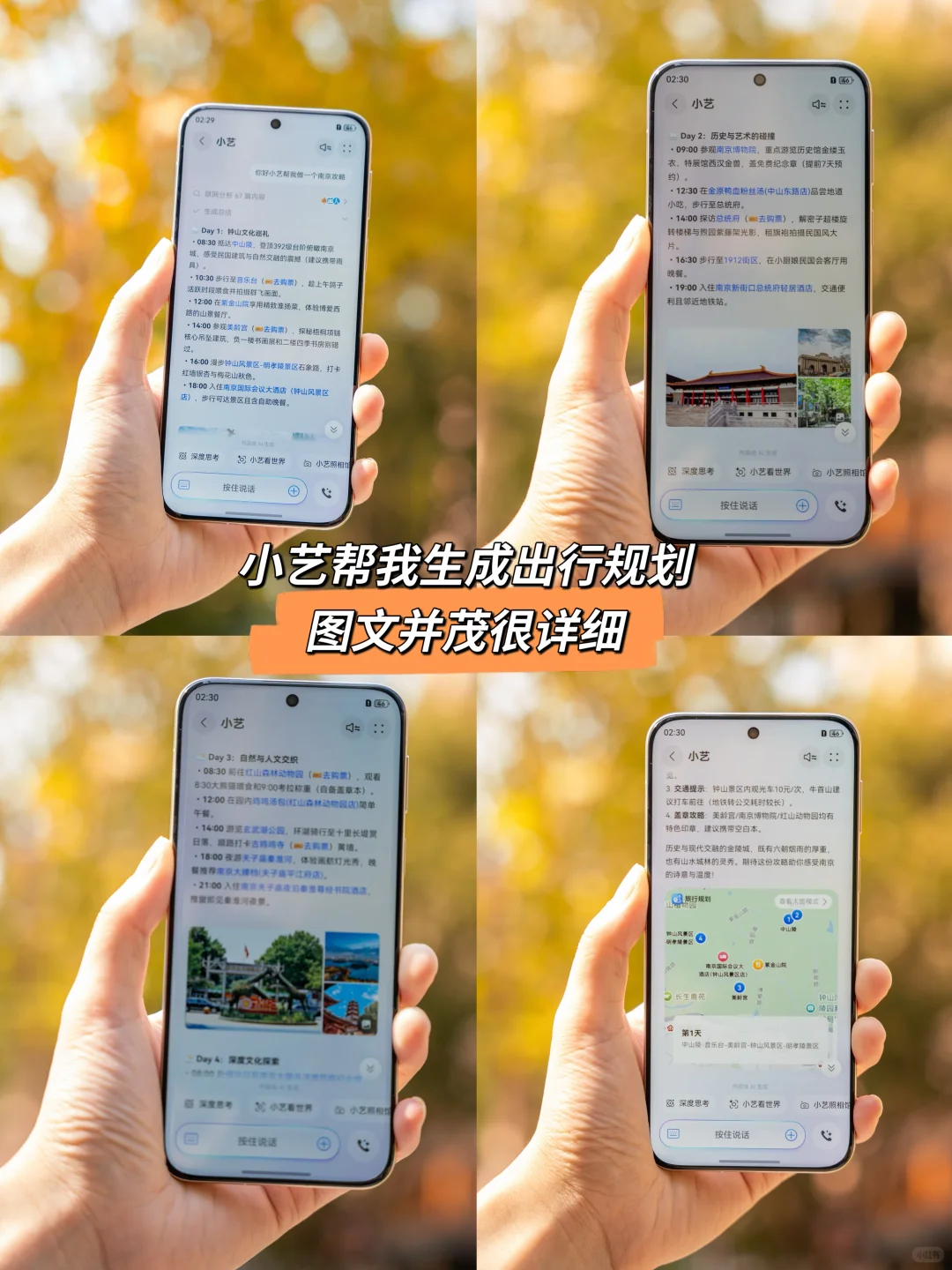 我宣布！没有一个城市比南京更懂得秋天❗️