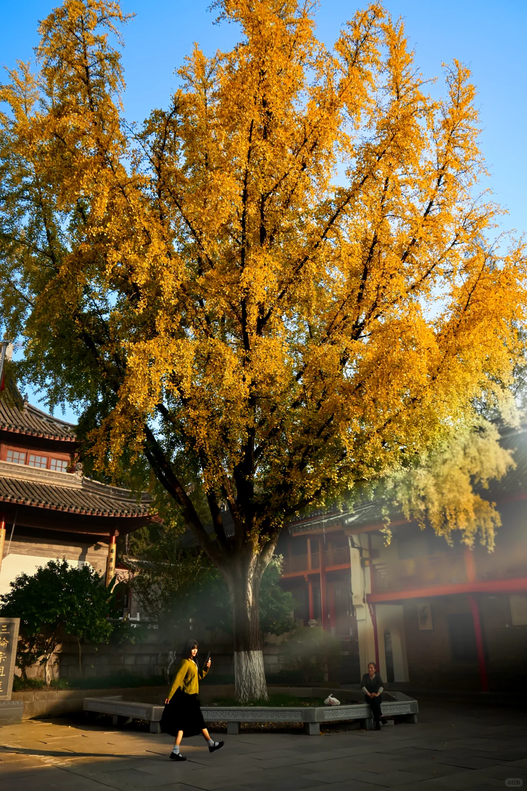 南京/金陵，一个人的旅游