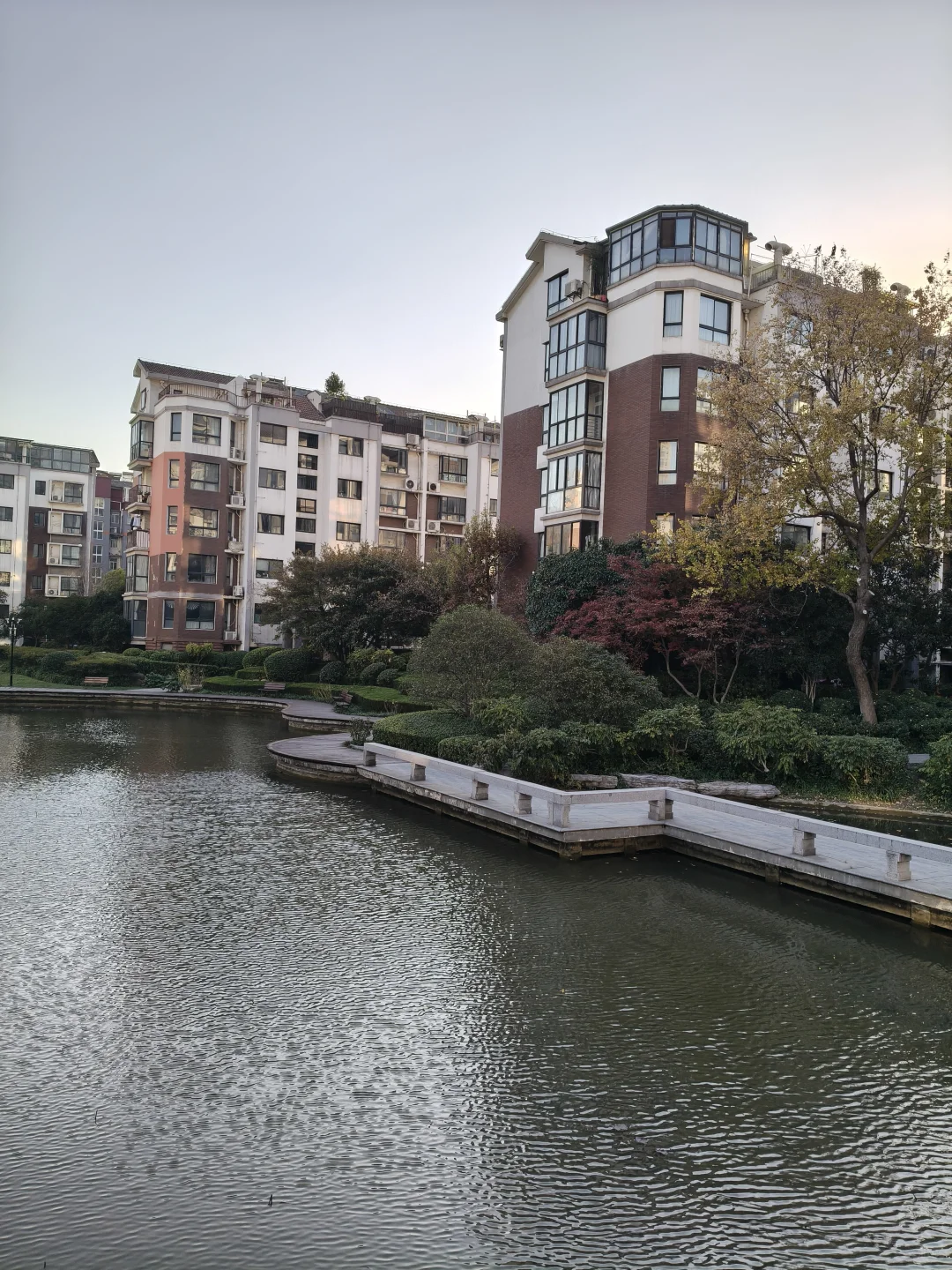 徐州居然还有环境这么漂亮的老小区！