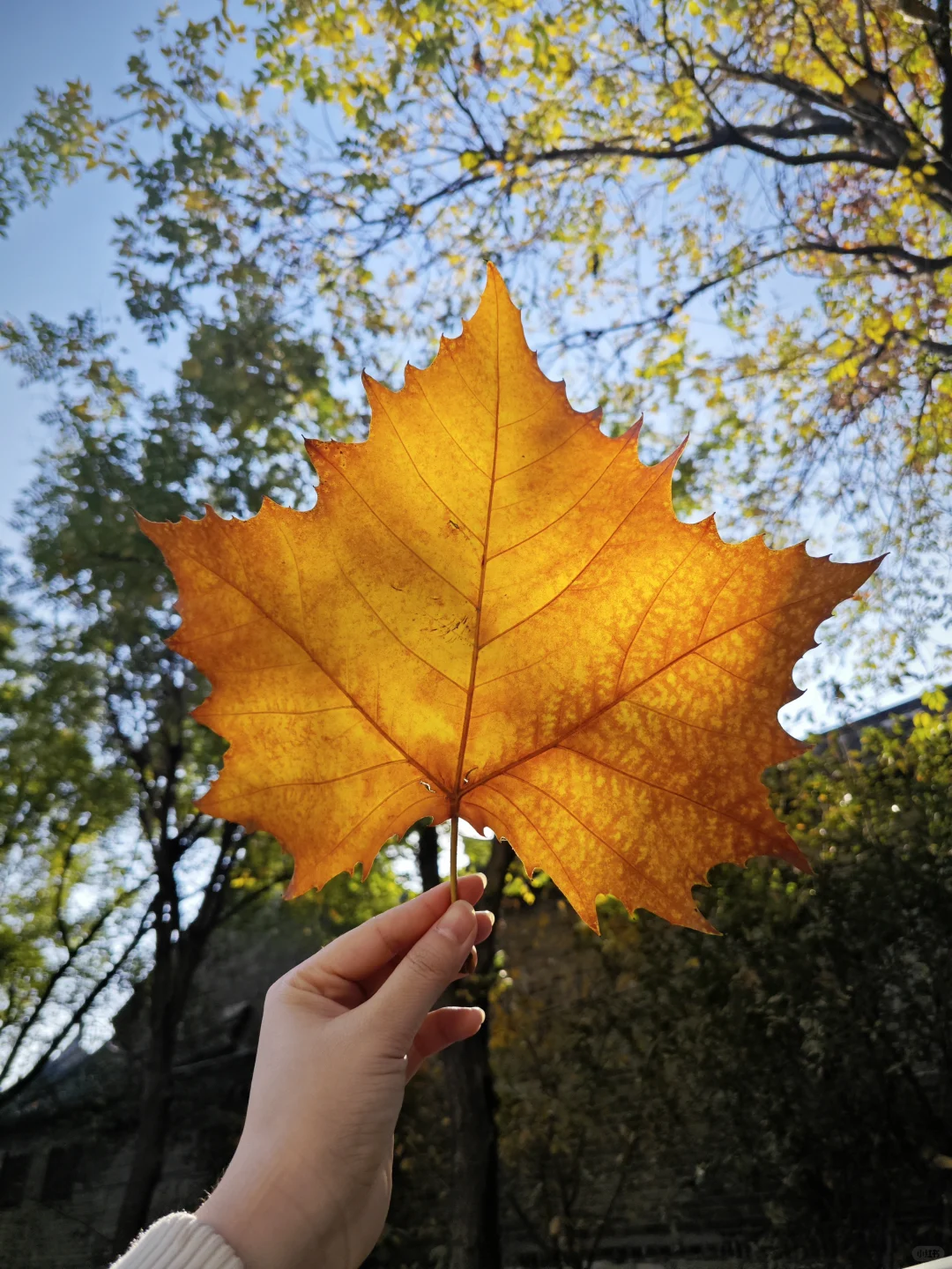 徐州📍一座来了就不想走的城市