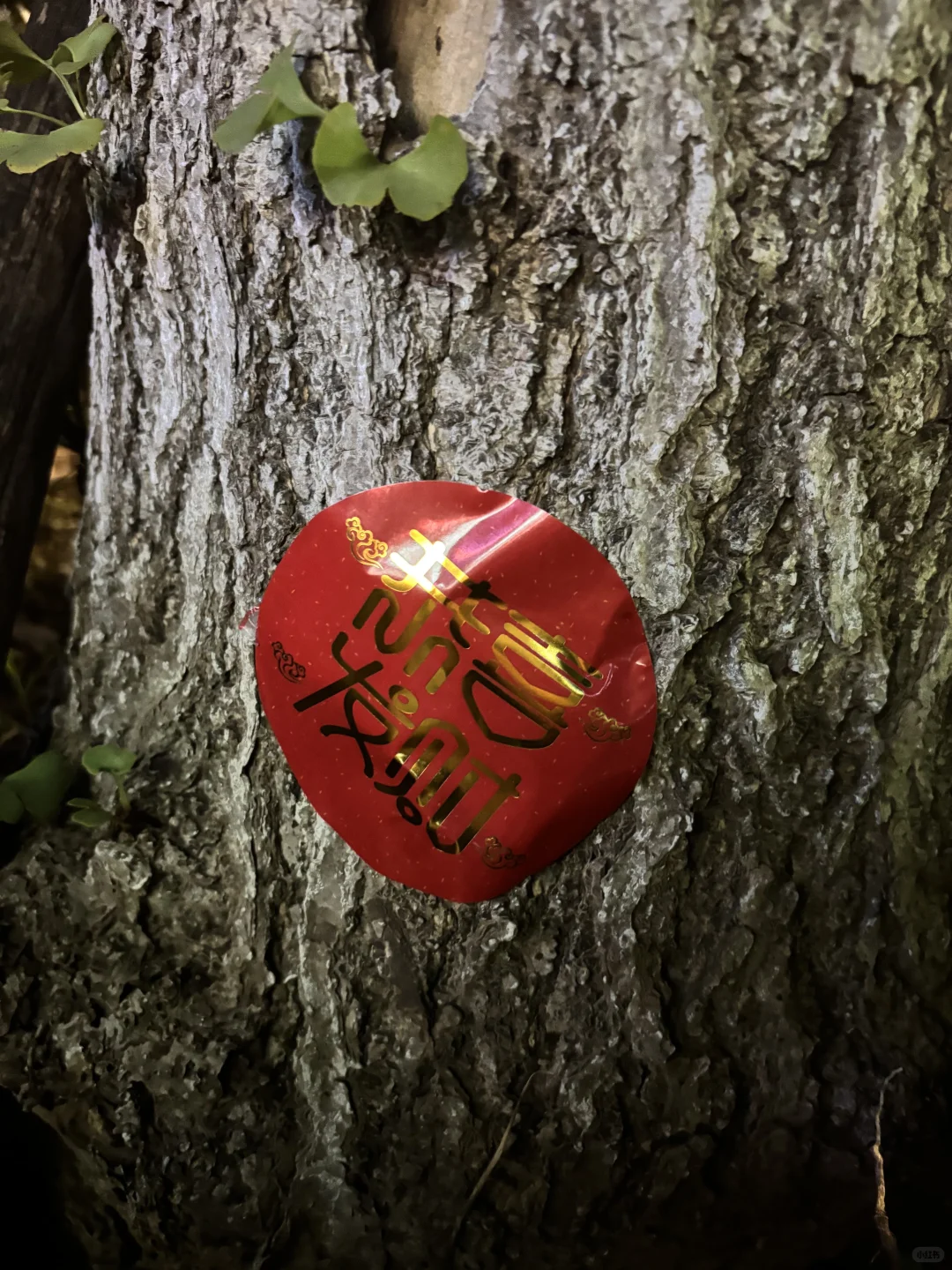 南京寻宝～我在南京藏了一张，来找吧