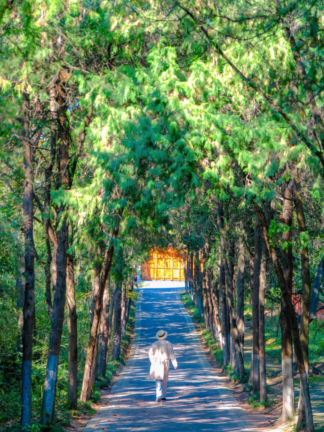 以为苏州已经够美了，直到我去了徐州😭..