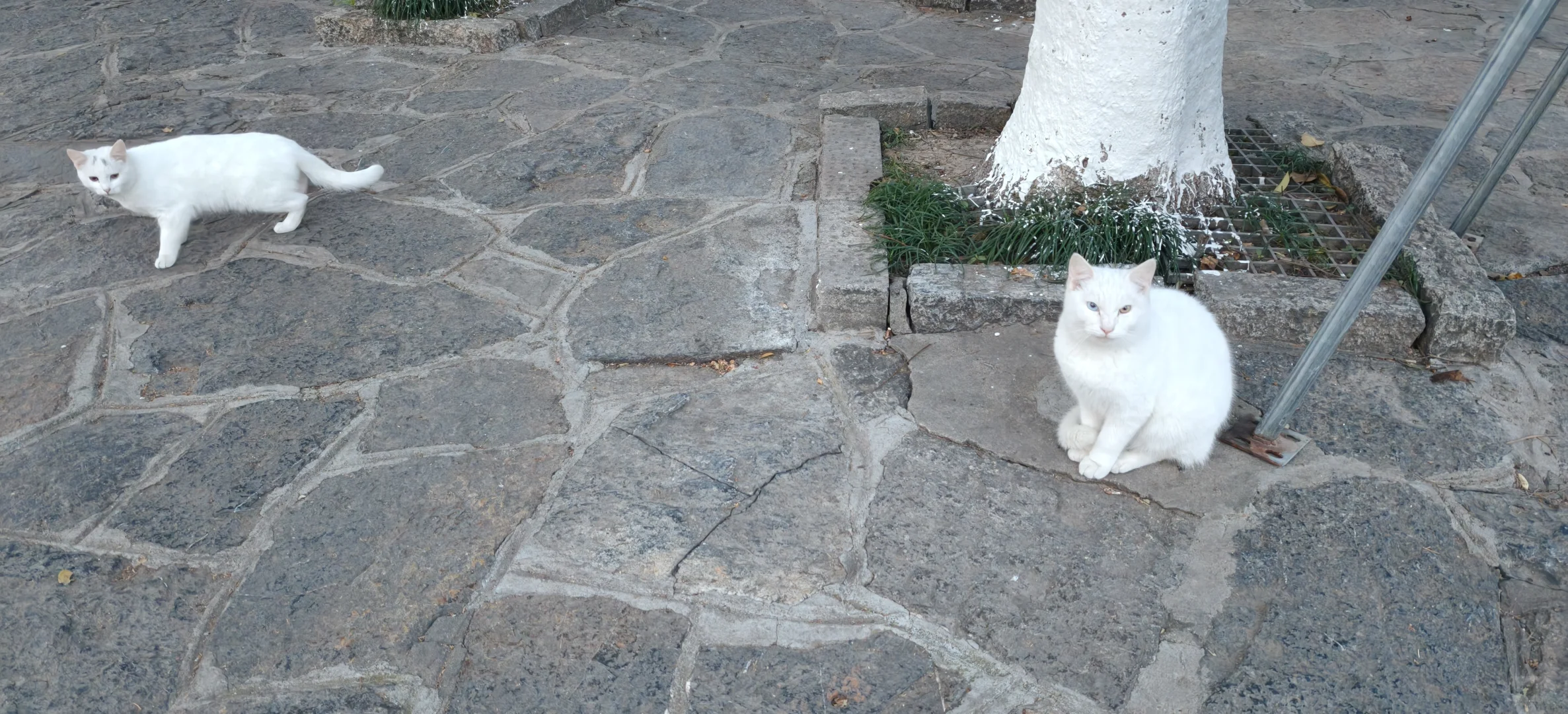 🌅徐州双璧｜云龙山×云龙湖